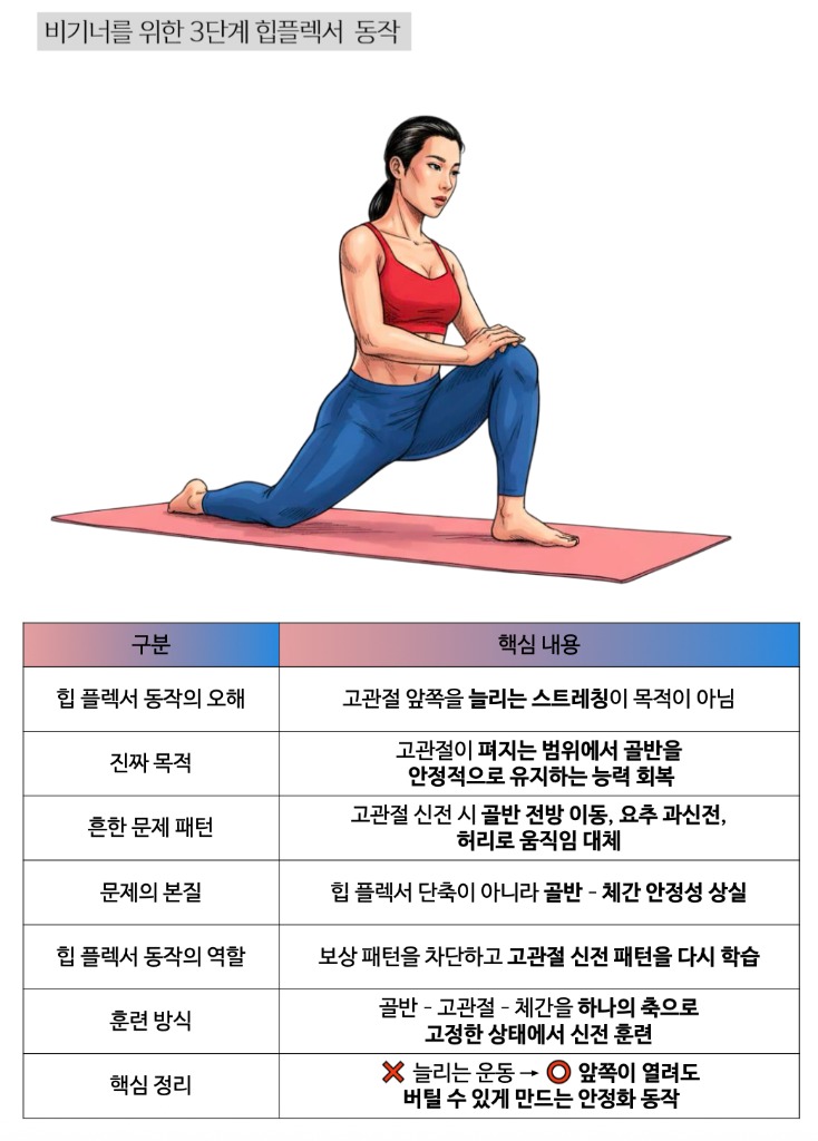 비기너를 위한 3단계 힙플렉서 동작 및 핵심 요약 안내 가이드