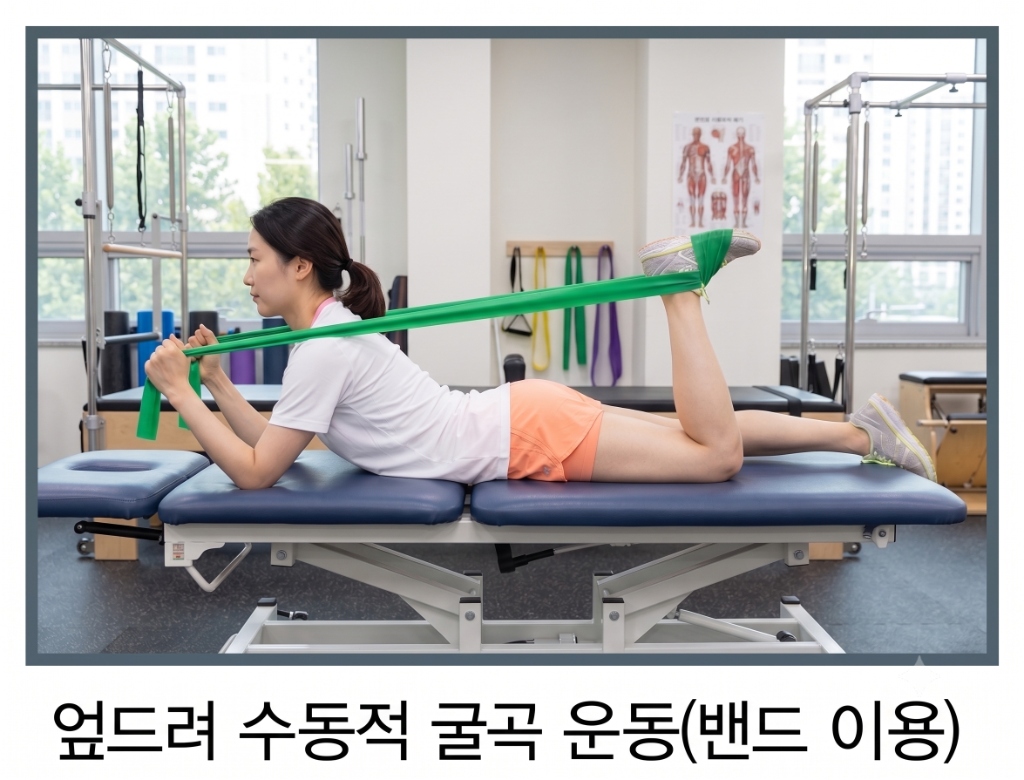 엎드려 수동적 굴곡 운동 (밴드 이용)