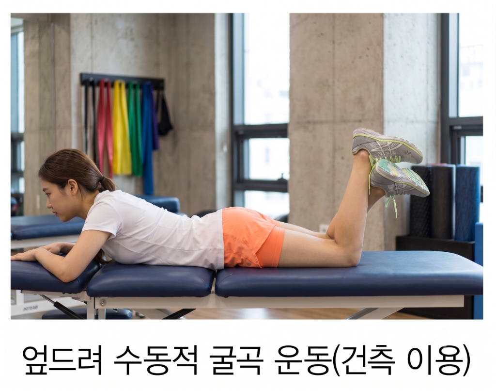 엎드려 수동적 굴곡 운동 (건측 이용)