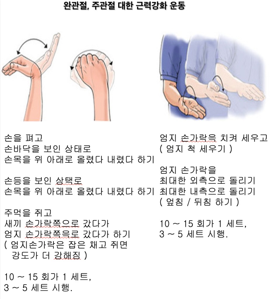 맨손 손목 가동 범위 스트레칭